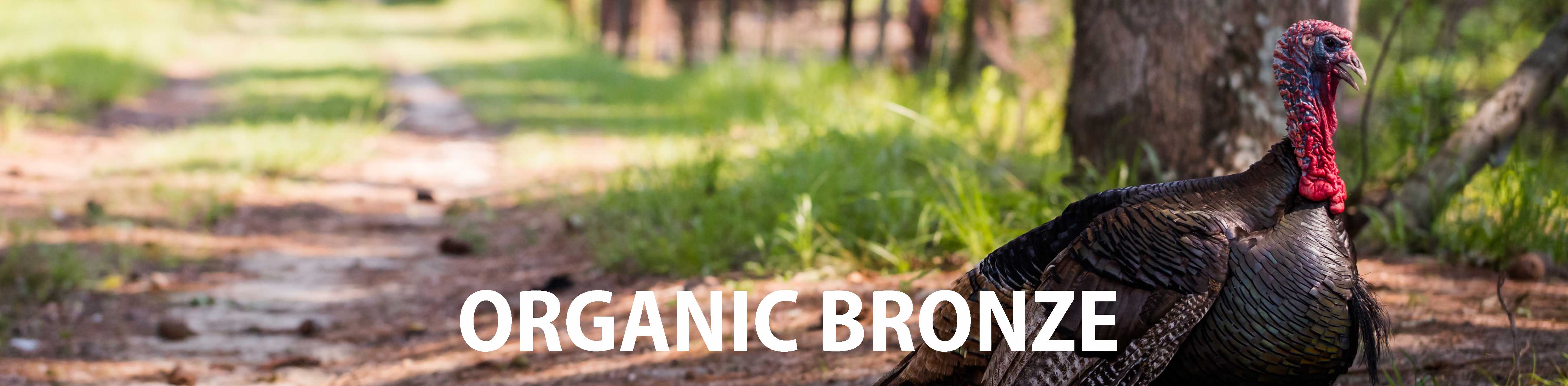 Organic Bronze